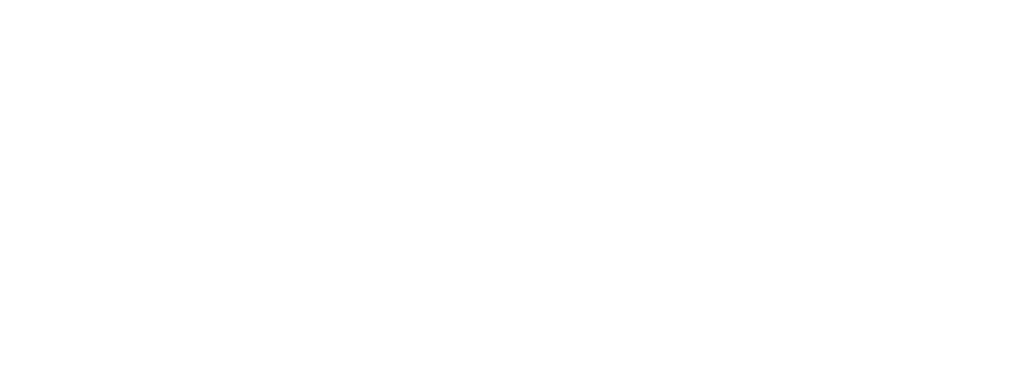 Darlink wordmark